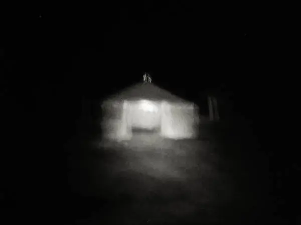 Branche morte blanchâtre émergeant d'eaux sombres, contraste extrême, méditation sur le temps