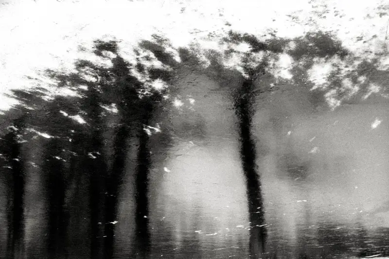 Essaim d'oiseaux en vol contre fond sombre, flou de mouvement et silhouettes granuleuses