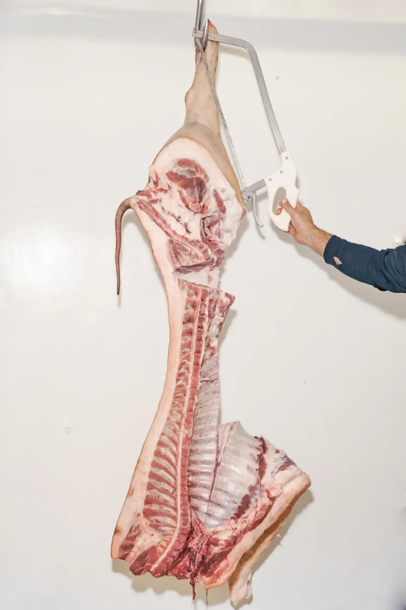 Le Labo — Photographie / Documentaire